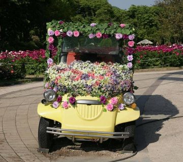 باربری برای حمل و نقل تجهیزات گلخانهای