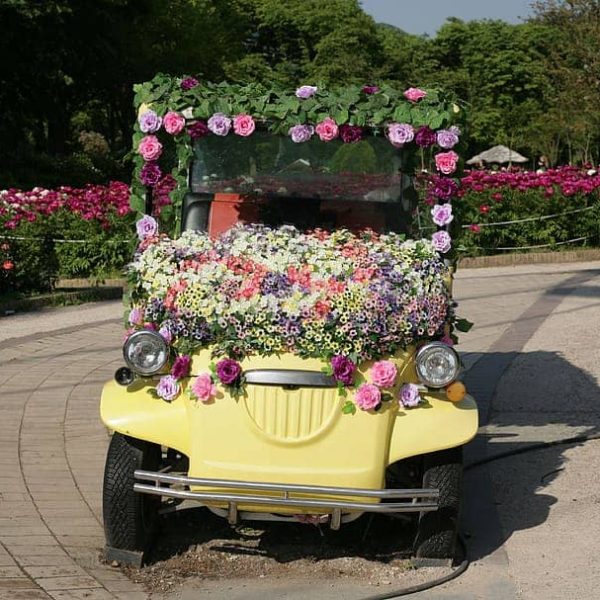 باربری برای حمل و نقل تجهیزات گلخانه‌ای