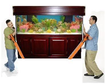 نحوه جابجایی آکواریوم به روش ایمن